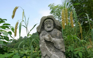 %e4%bc%9d%e7%b5%b1%e9%87%8e%e8%8f%9c%e3%81%a6%e3%82%99%e5%9c%b0%e5%9f%9f%e3%82%92%e3%81%a4%e3%81%aa%e3%81%8f%e3%82%99%e5%a5%88%e8%89%af