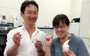 %e3%82%b7%e3%82%99%e3%83%b3%e3%82%b7%e3%82%99%e3%83%a3%e3%83%bc%e3%82%b7%e3%83%ad%e3%83%83%e3%83%95%e3%82%9a%e3%81%a6%e3%82%99%e3%81%93%e3%82%99%e5%bd%93%e5%9c%b0%e3%82%bd%e3%83%95